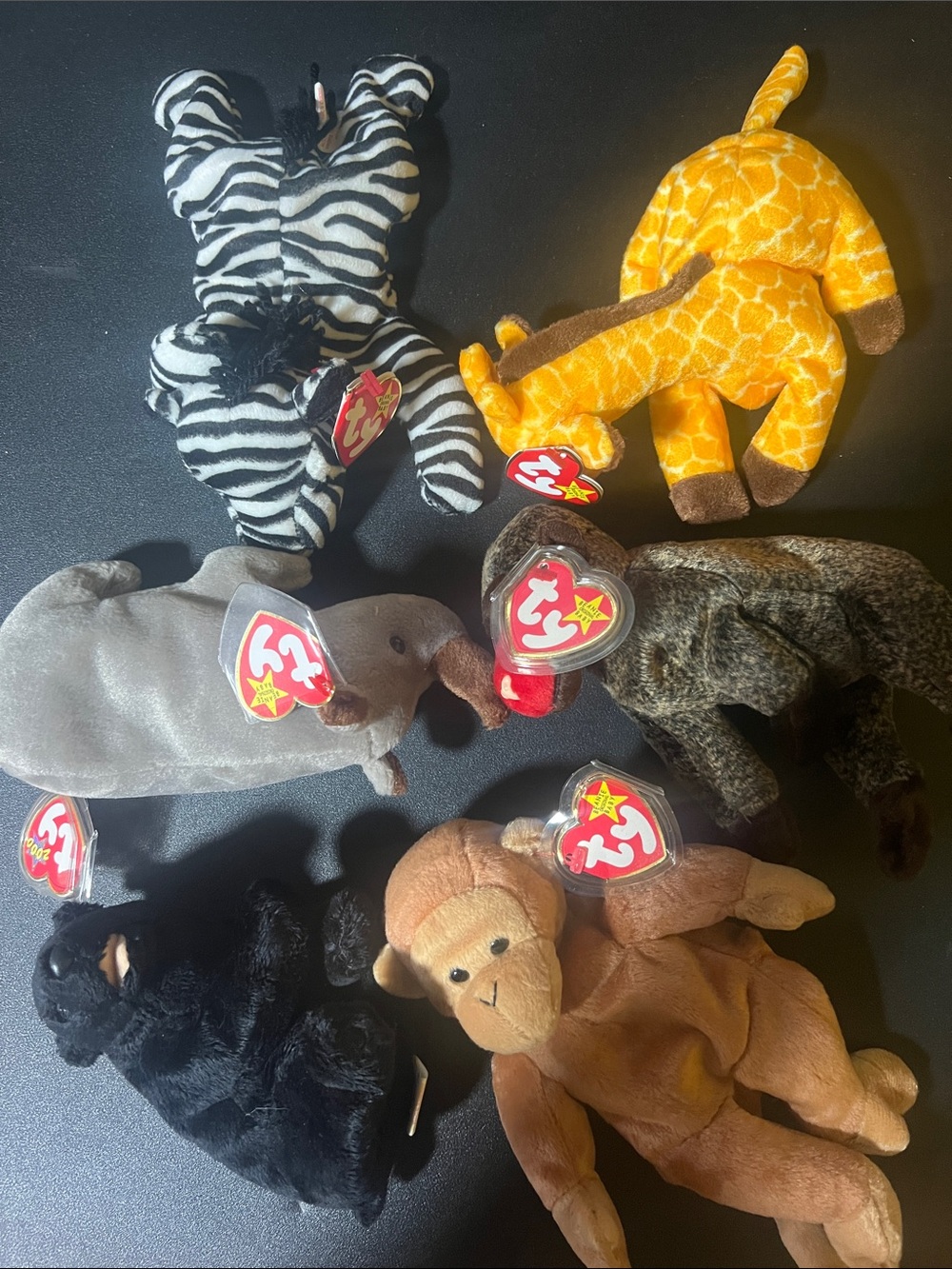 Ty Beanie Babies Jungle Plush Toy - Assorted Colors (6)